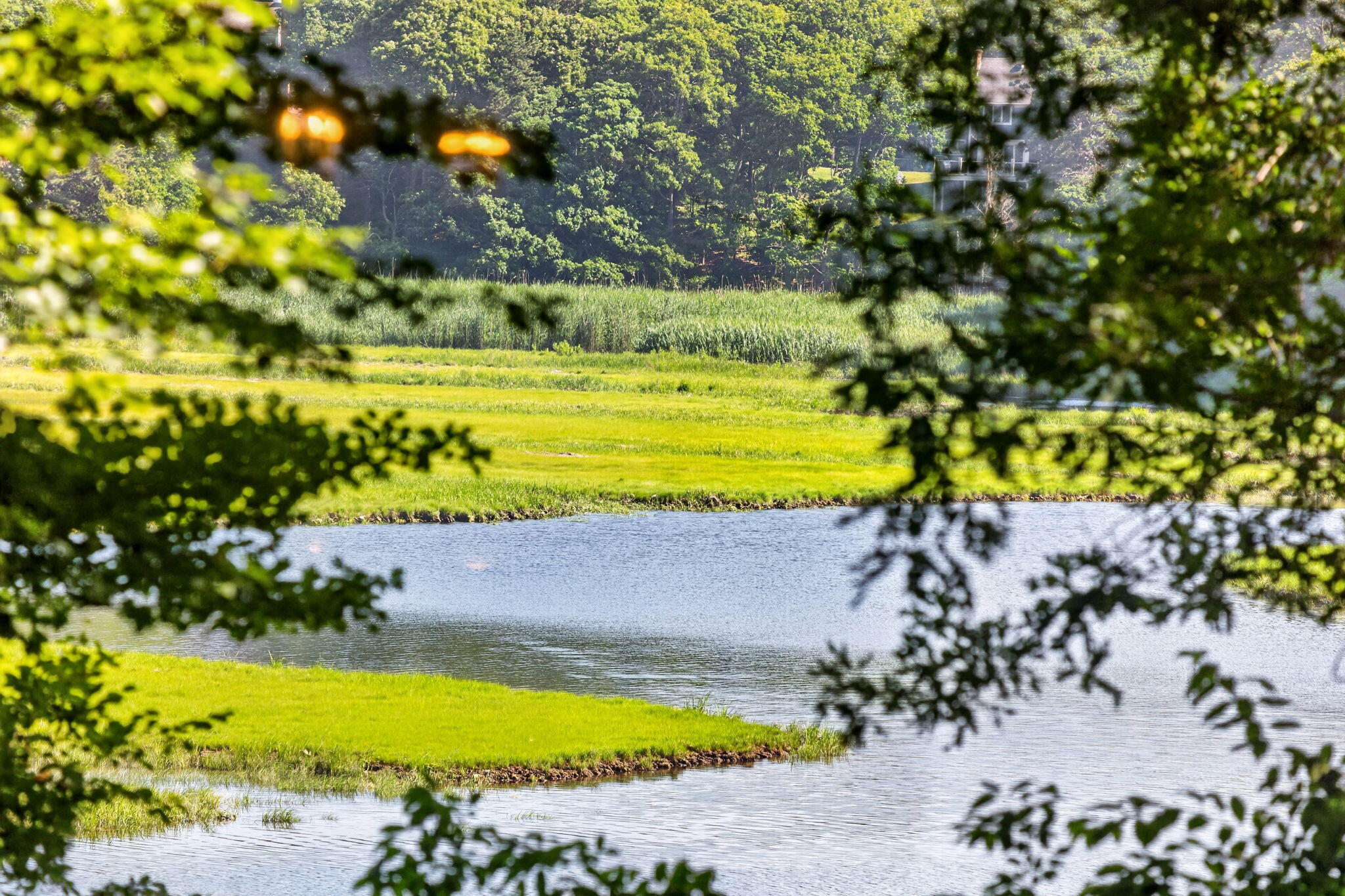 14 Ellen Lane Pocasset MA 02559