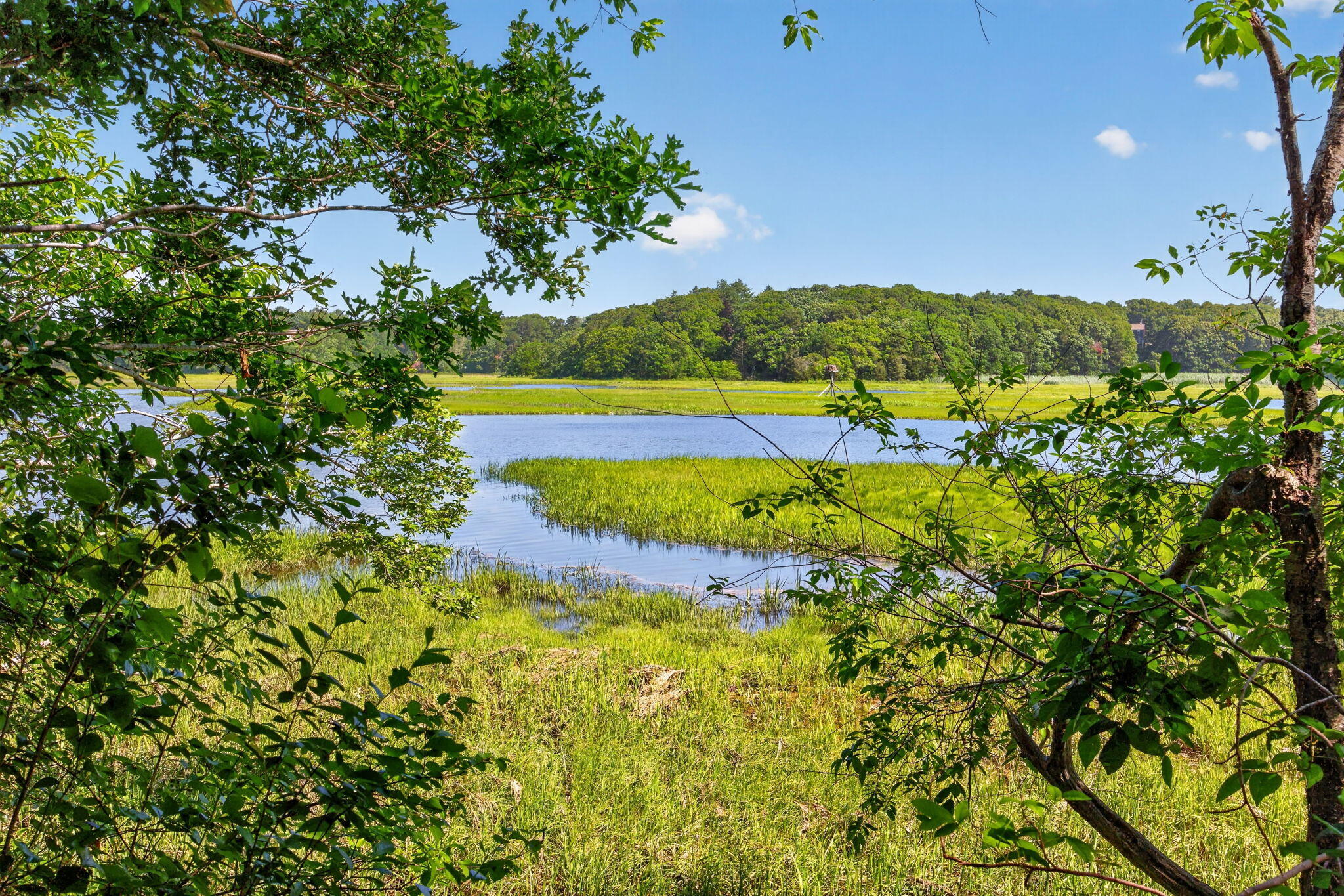 14 Ellen Lane Pocasset MA 02559