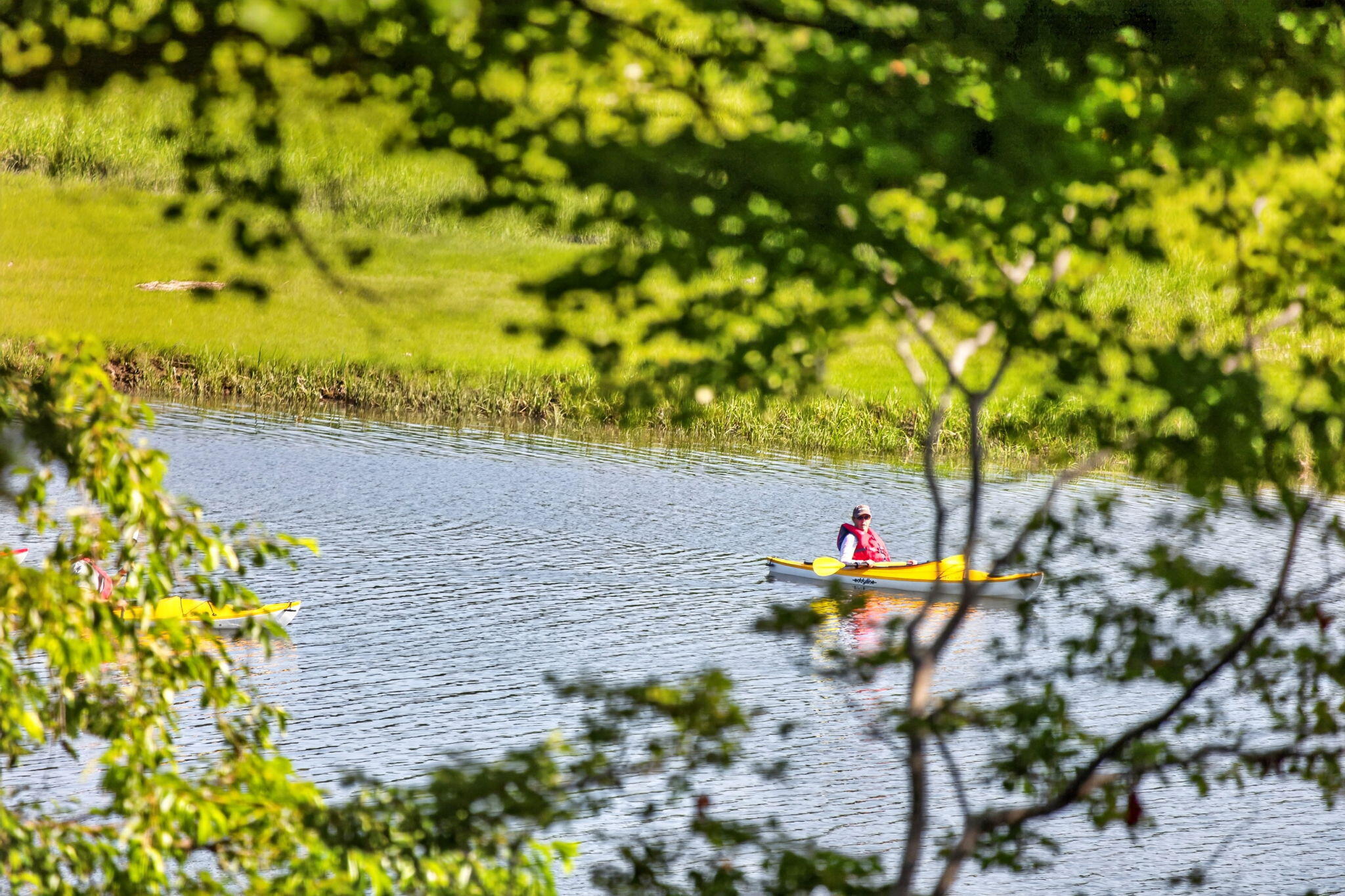 14 Ellen Lane Pocasset MA 02559