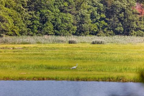 14 Ellen Lane Bourne MA 02559