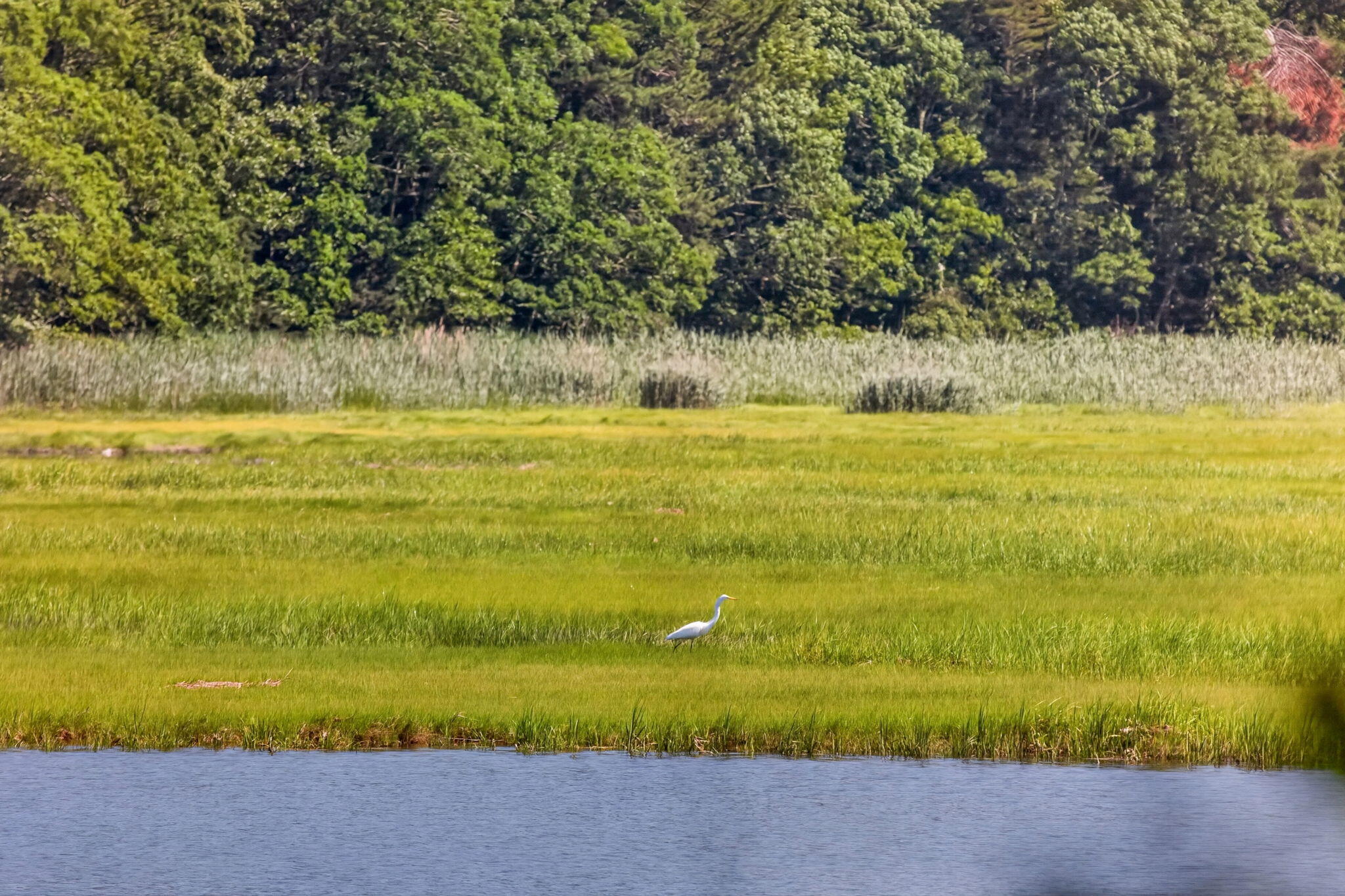14 Ellen Lane Pocasset MA 02559