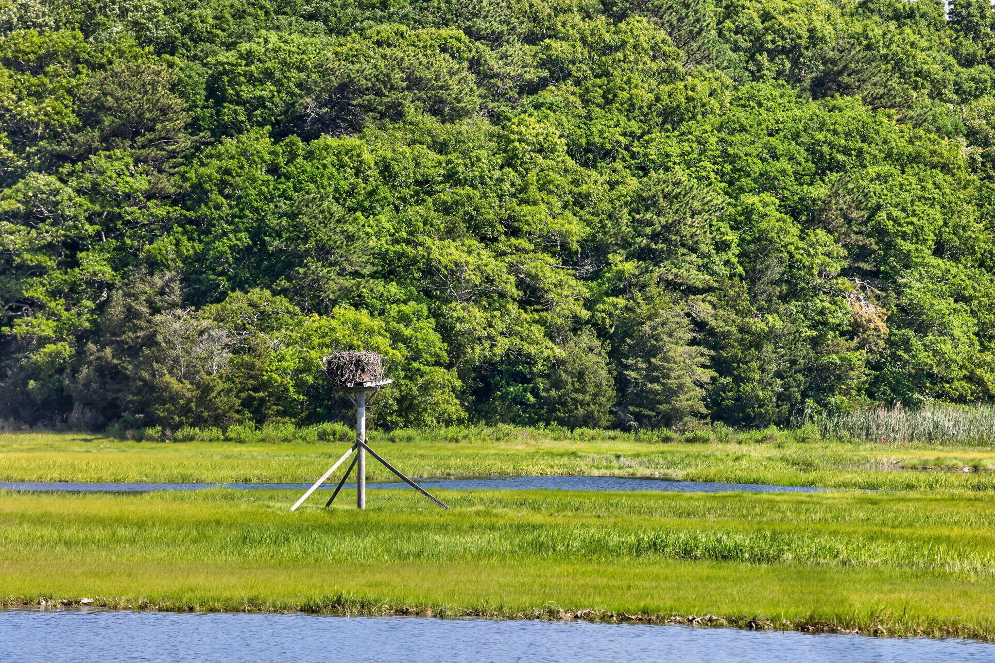 14 Ellen Lane Pocasset MA 02559