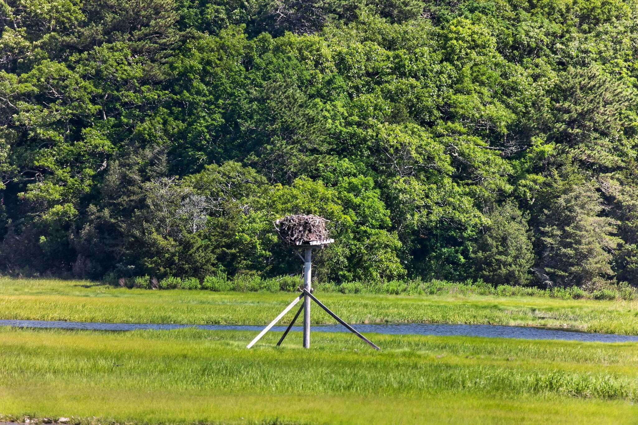 14 Ellen Lane Pocasset MA 02559