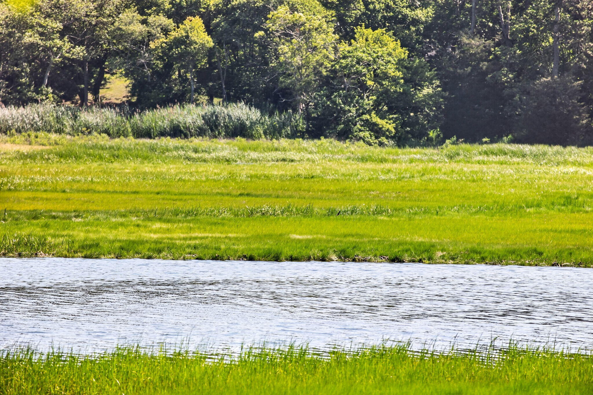 14 Ellen Lane Pocasset MA 02559