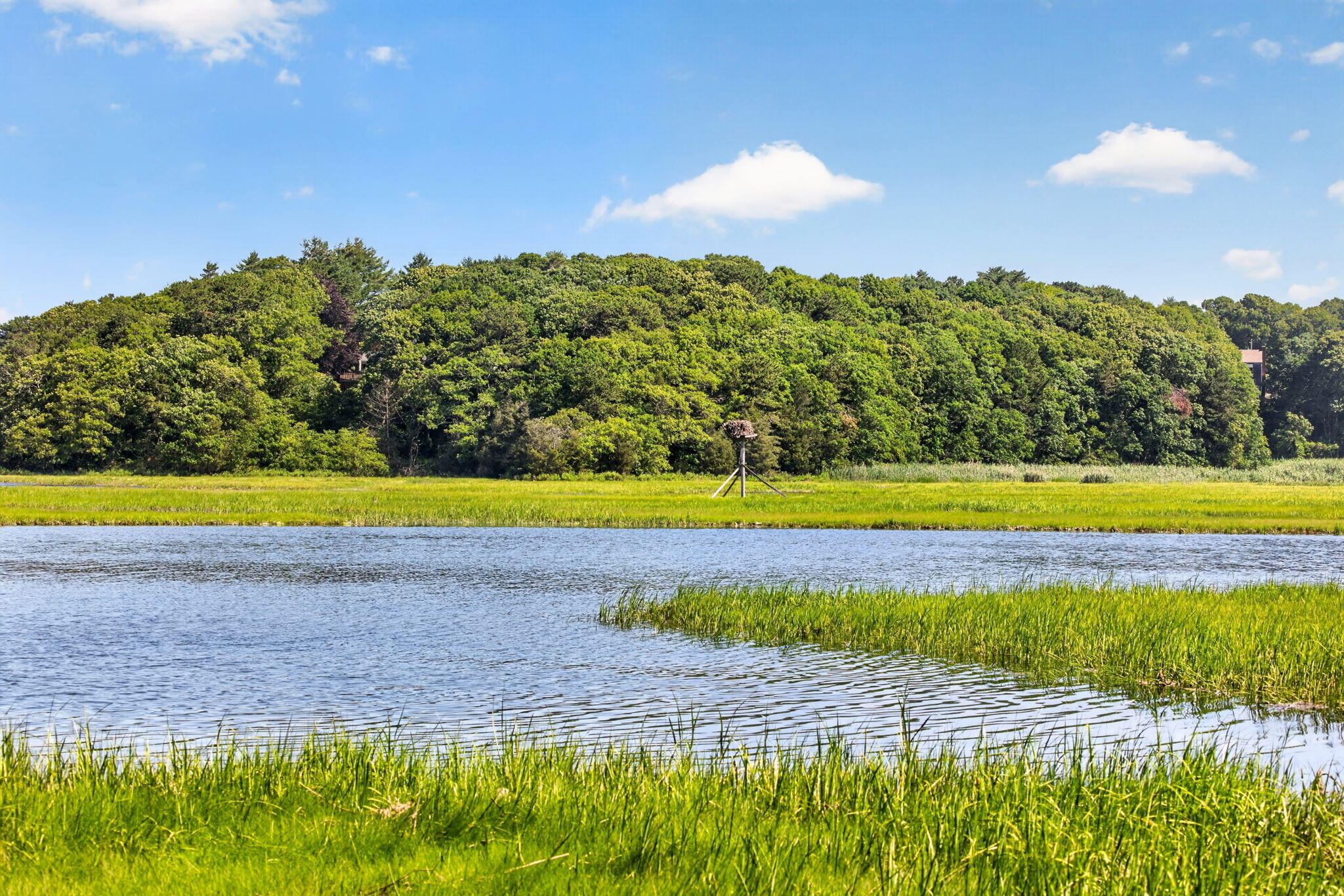 14 Ellen Lane Pocasset MA 02559