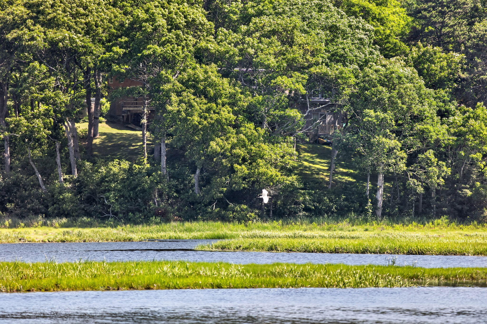 14 Ellen Lane Pocasset MA 02559
