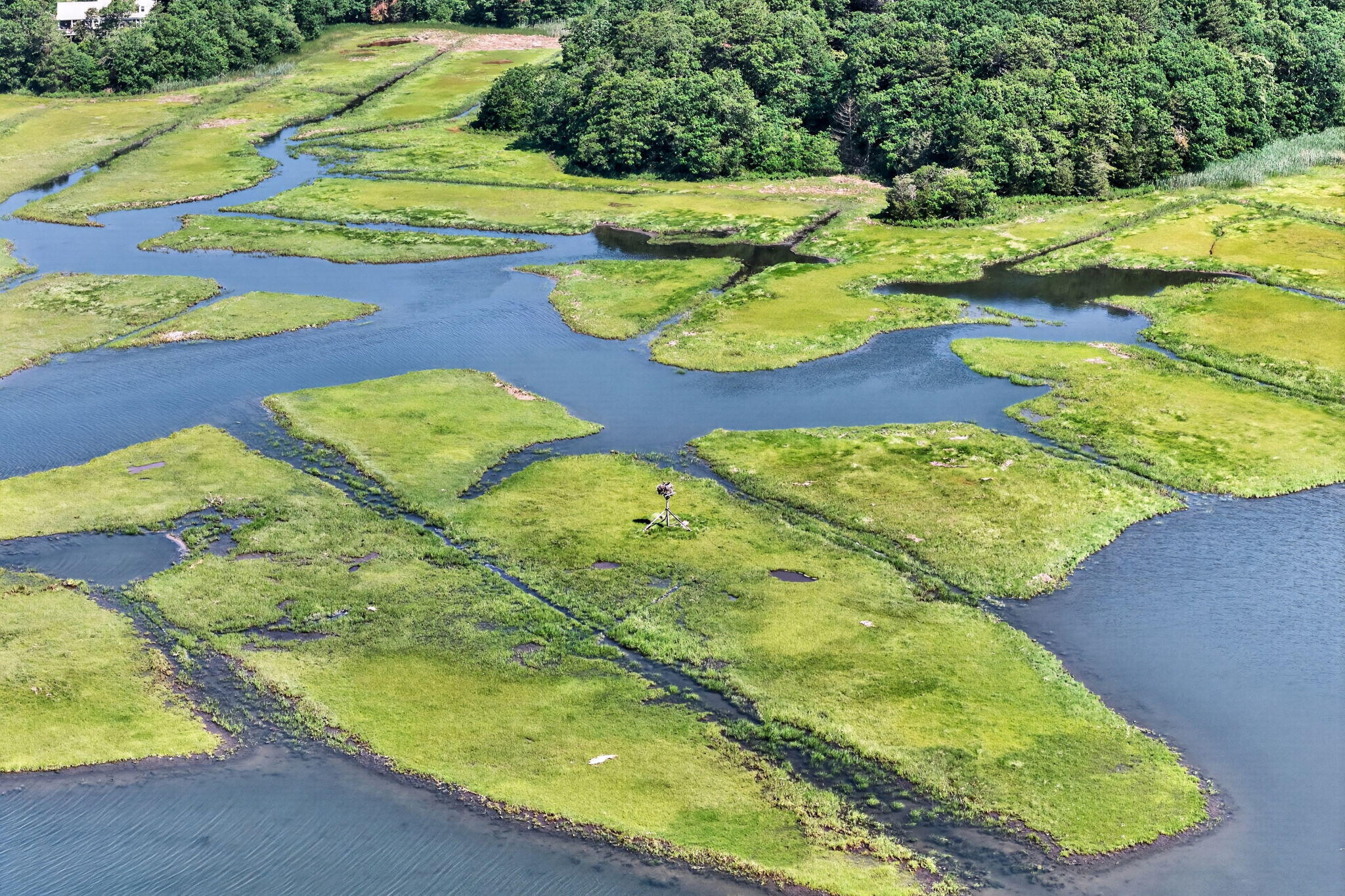 14 Ellen Lane Pocasset MA 02559