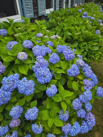 20 Green Way South Yarmouth MA 02664