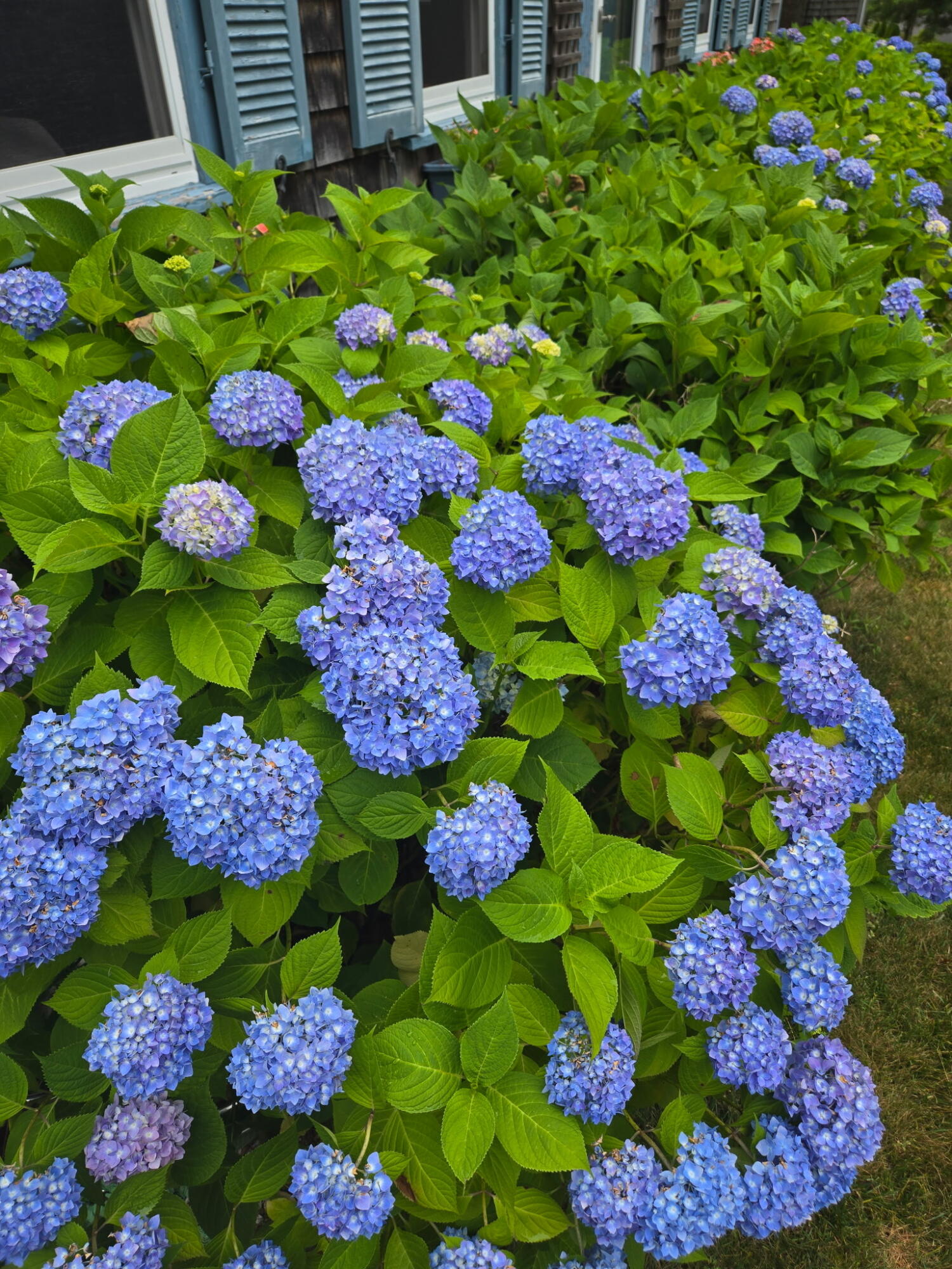 20 Green Way South Yarmouth MA 02664