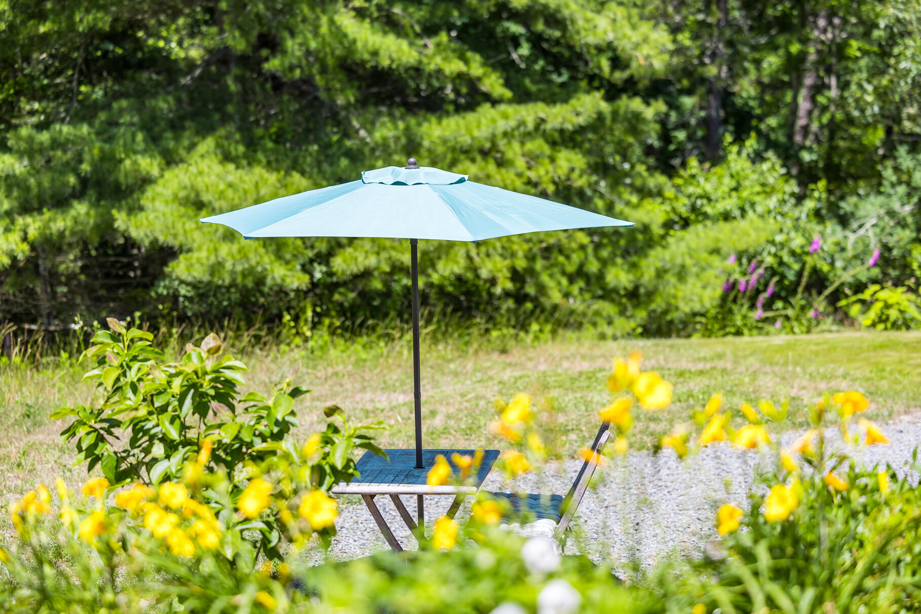 410 Blueberry Pond Drive MA 02631