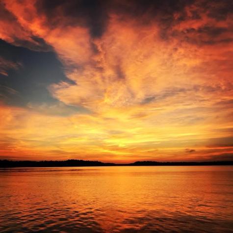 10 Brian Way Harwich MA 02645