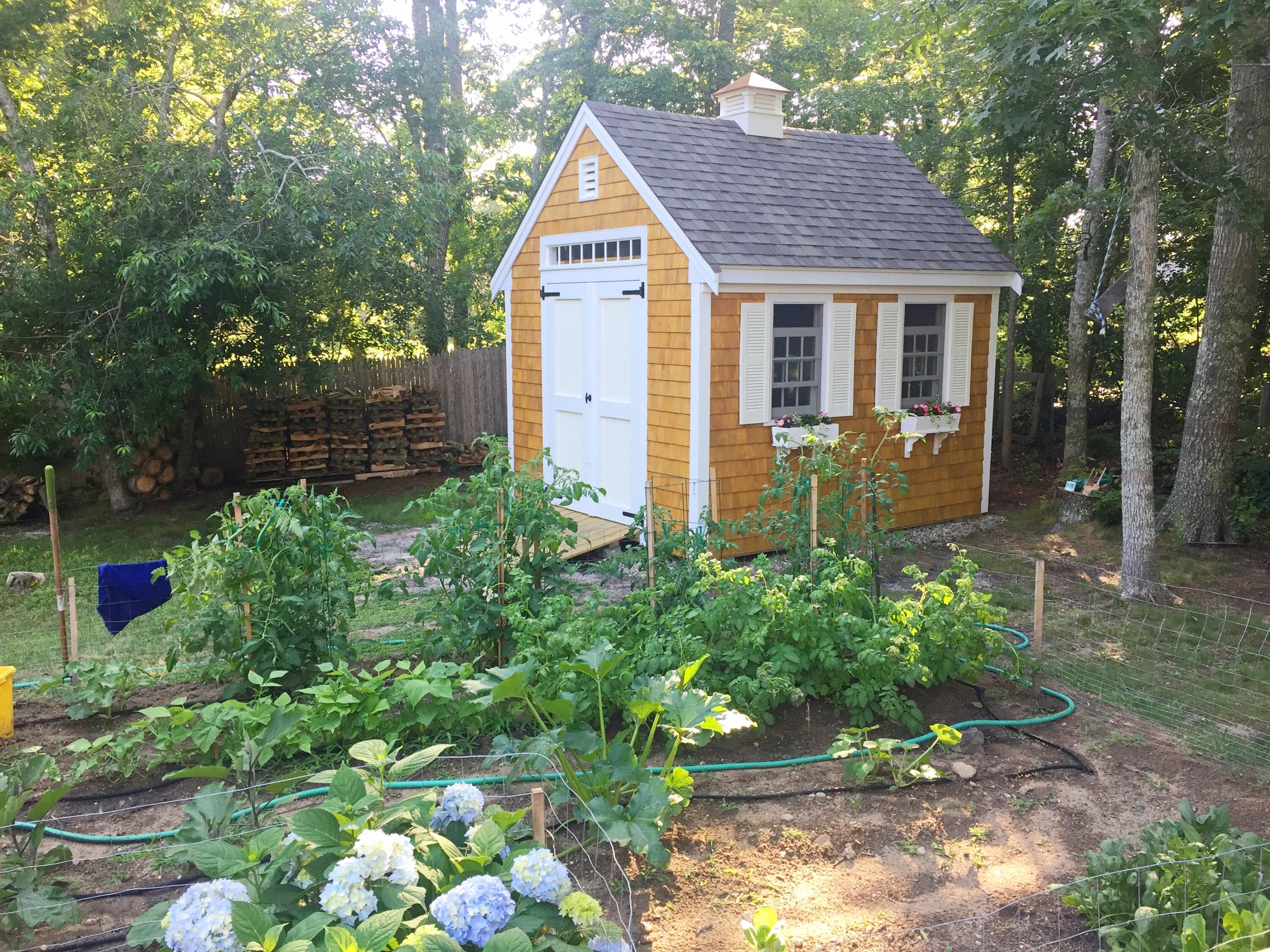 337 Jonathans Way Brewster MA 02631