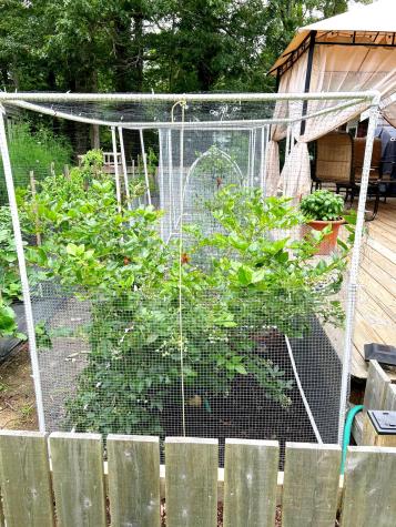 337 Jonathans Way Brewster MA 02631