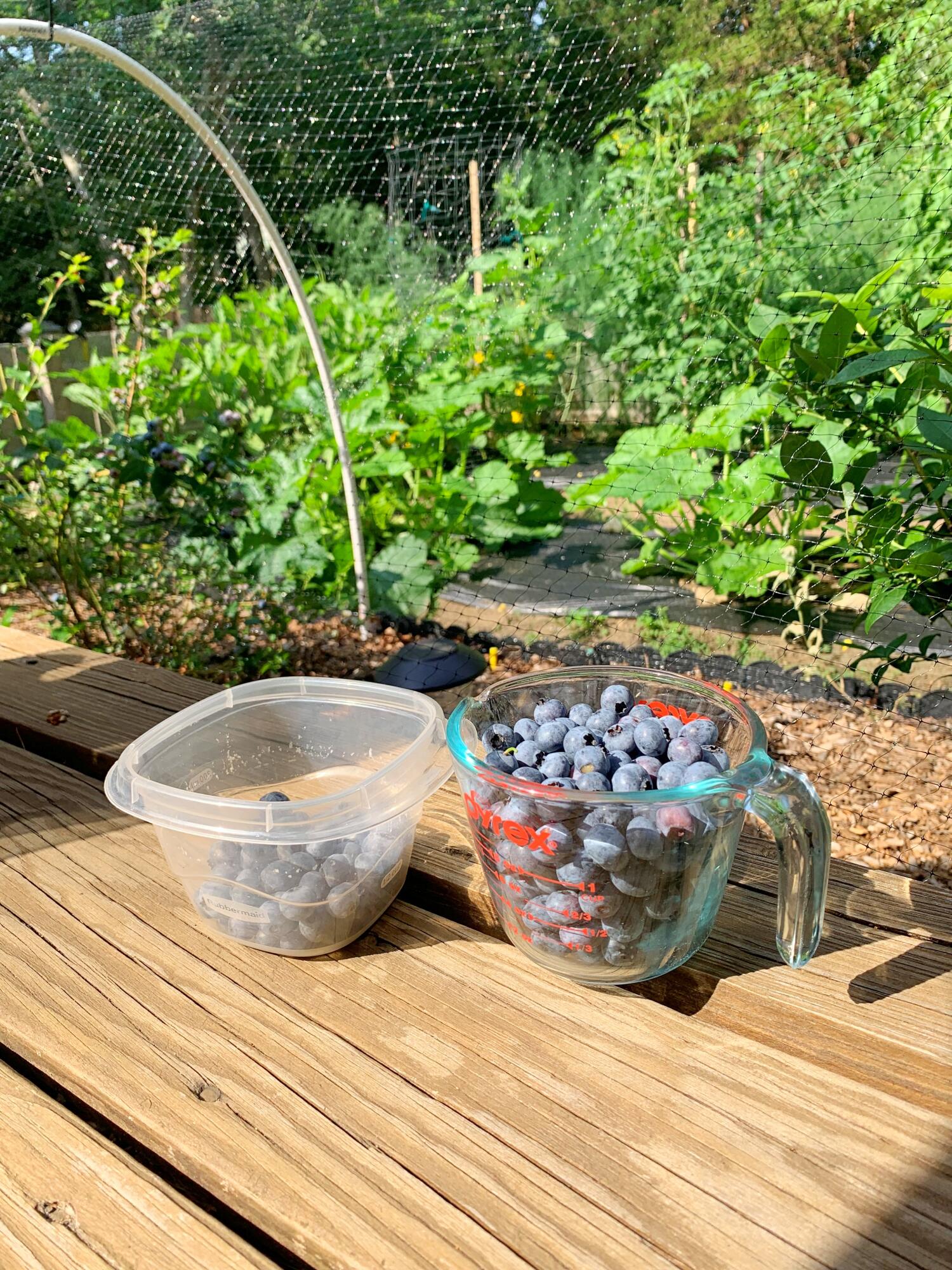 337 Jonathans Way Brewster MA 02631