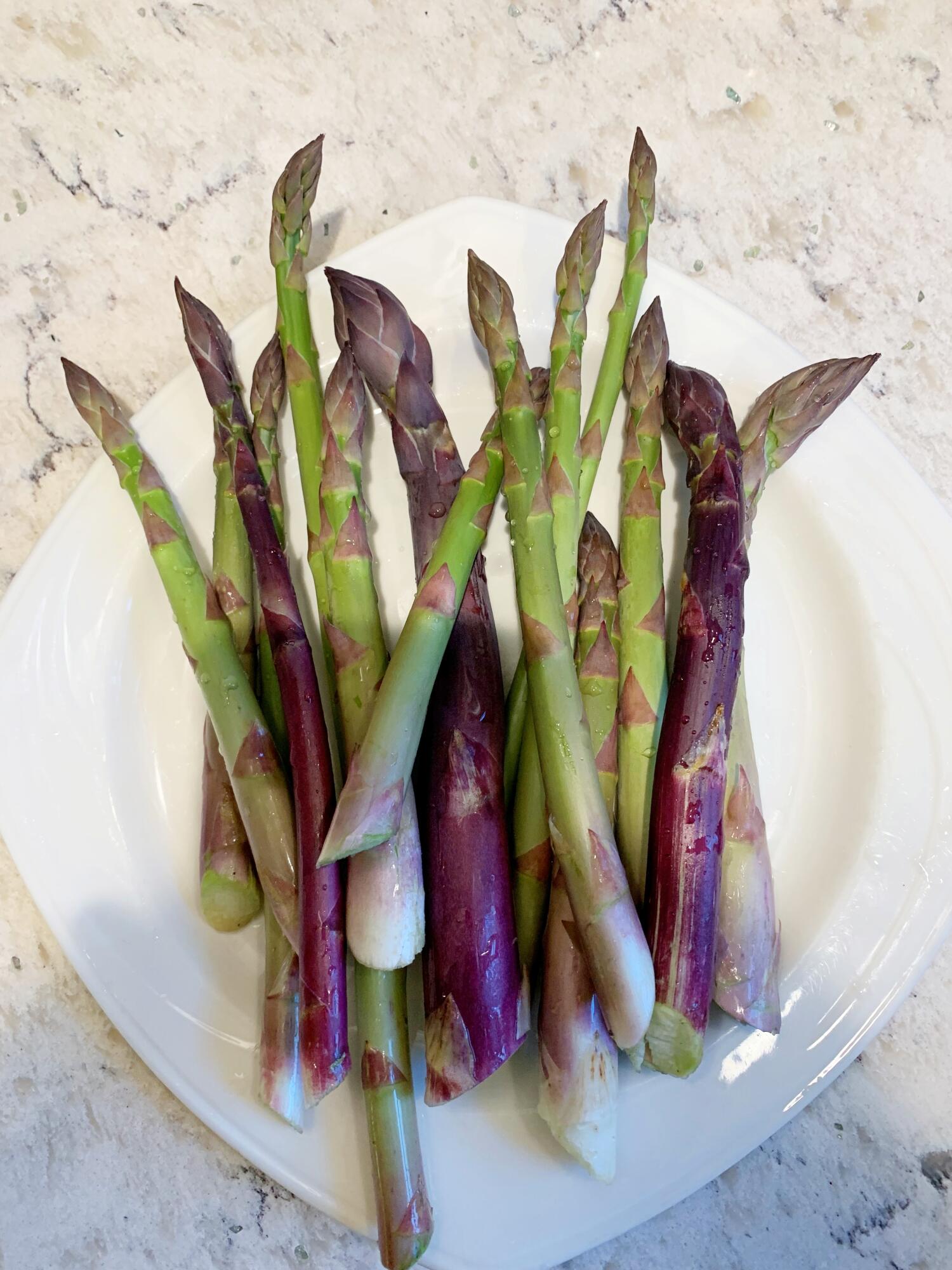 337 Jonathans Way Brewster MA 02631