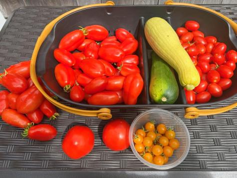 337 Jonathans Way Brewster MA 02631