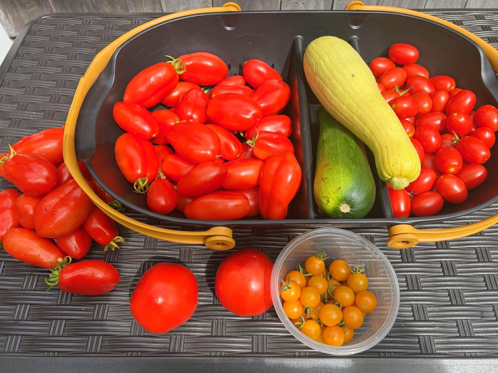 337 Jonathans Way Brewster MA 02631