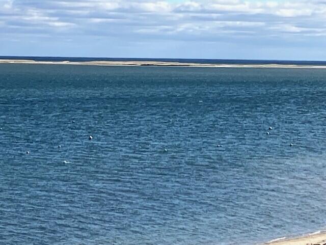 238 Cranberry Lane Chatham MA 02650