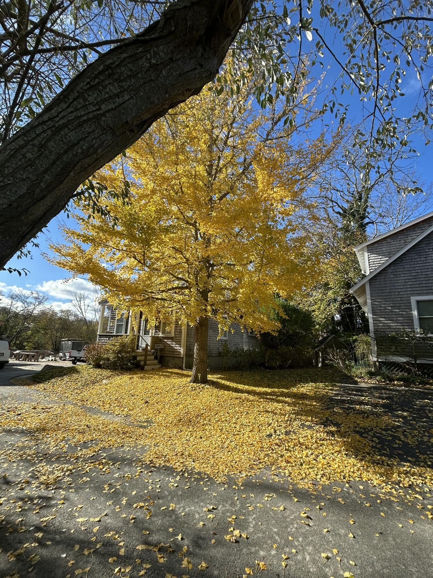 9 Cricket Lane Falmouth MA 02543