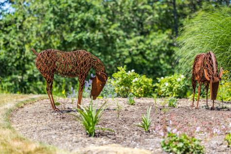 410 Blueberry Pond Drive Brewster MA 02631