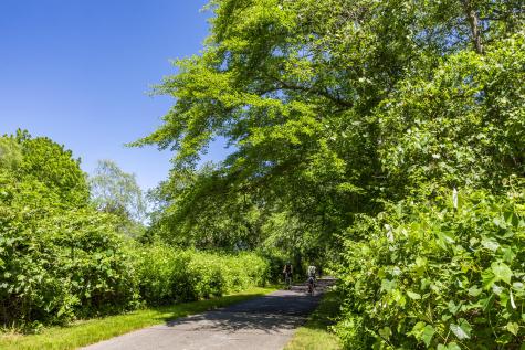 410 Blueberry Pond Drive Brewster MA 02631