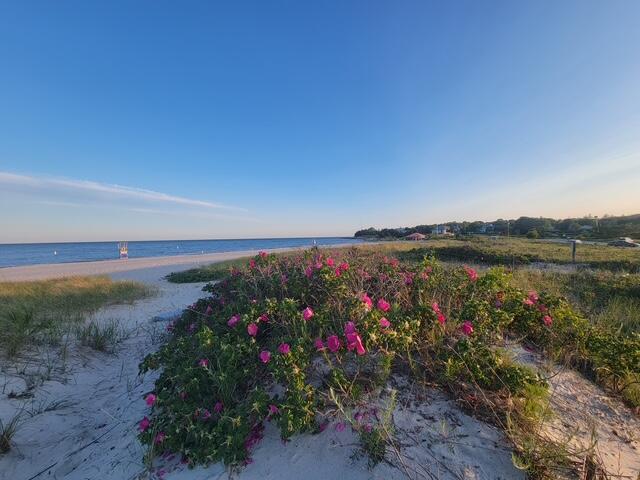177 Bayview Circle Barnstable MA 02655