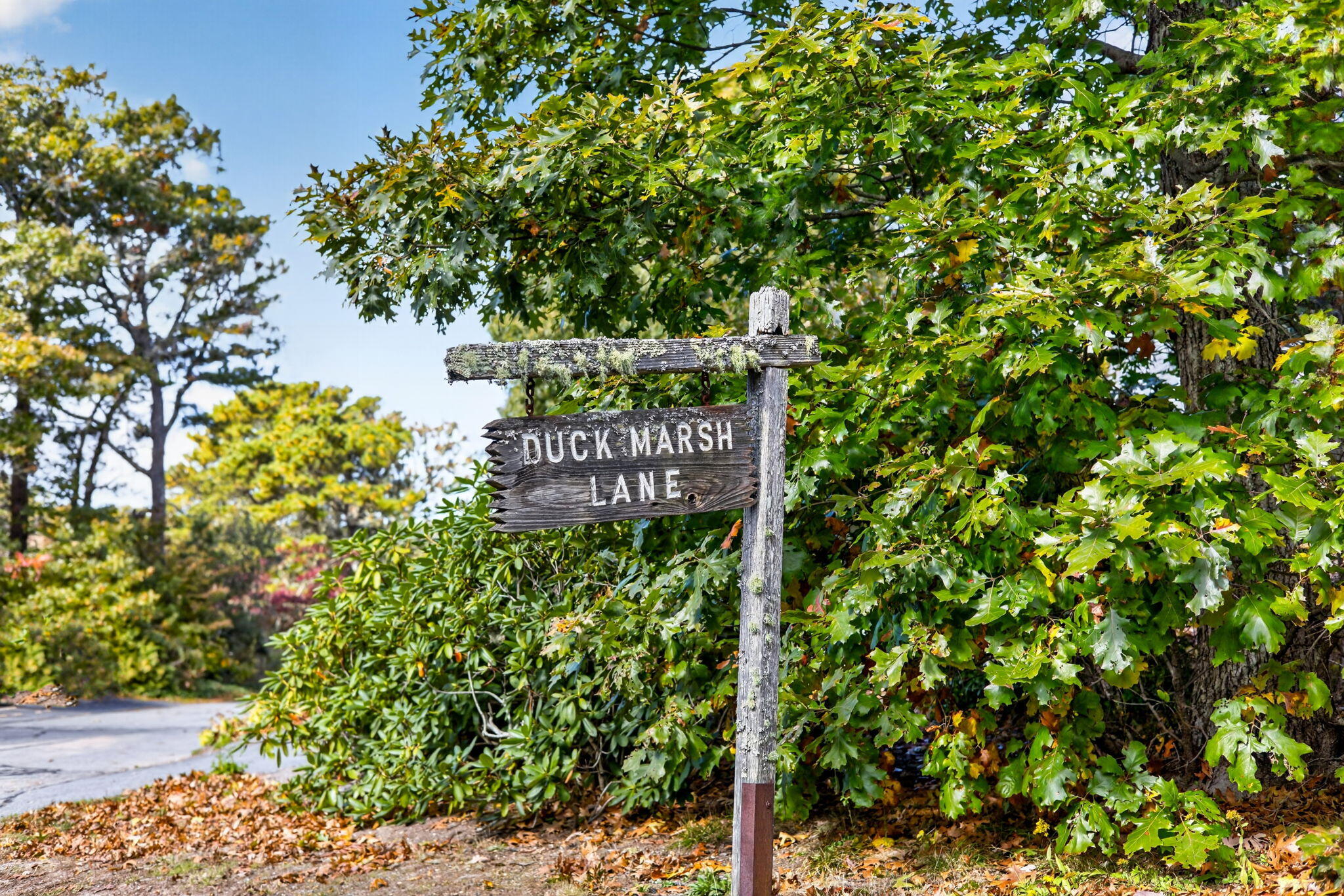 49 Duck Marsh Lane Chatham MA 02633