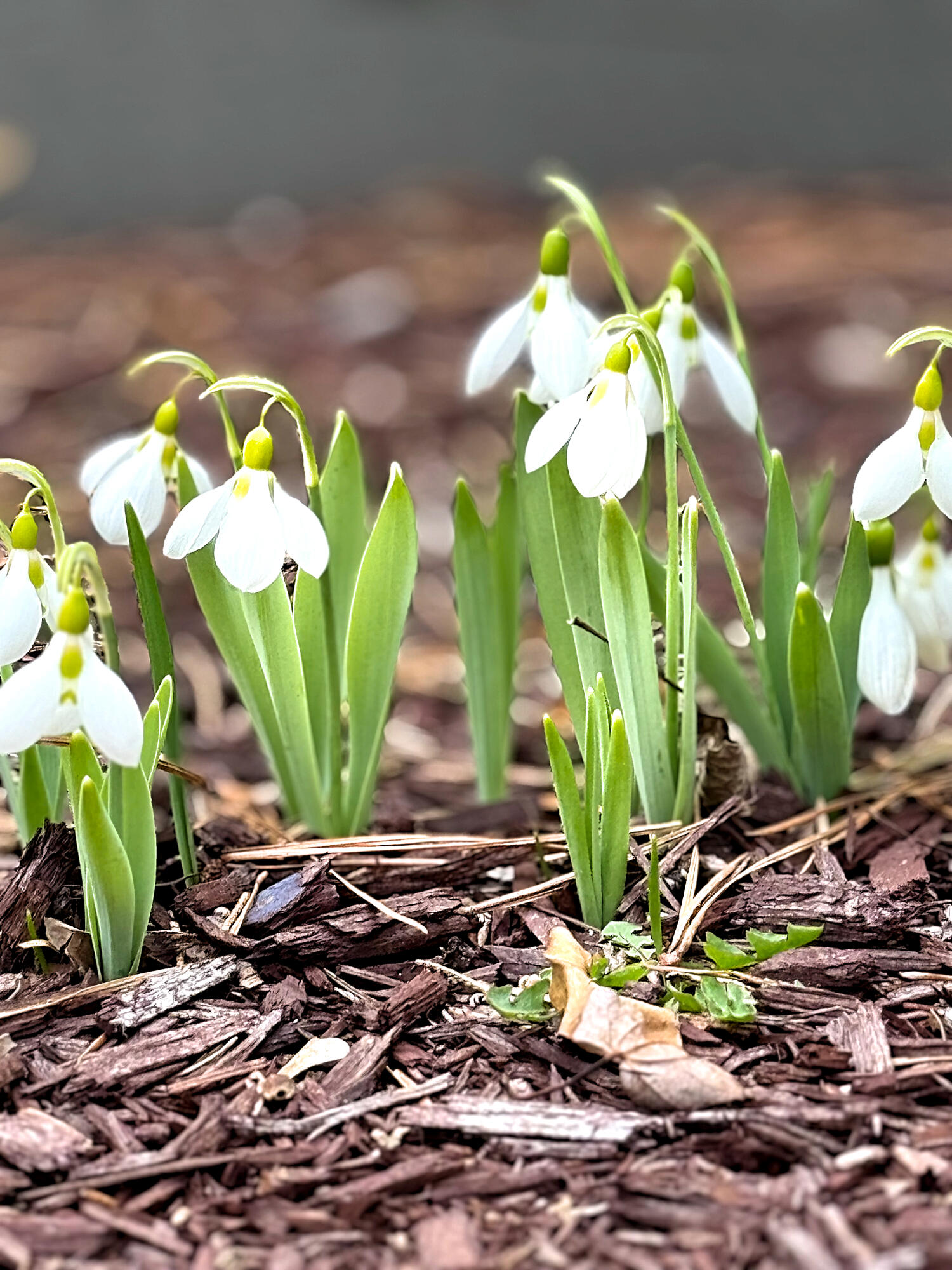 294 Bradford Street Provincetown MA 02657