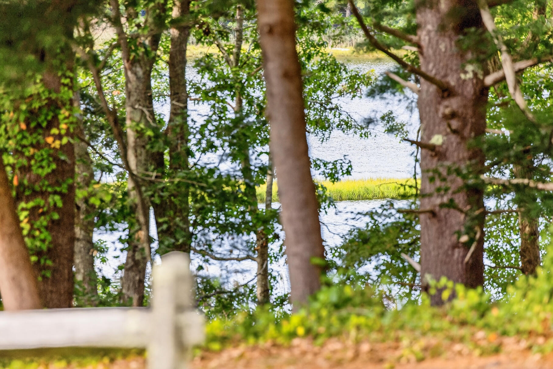 105 Bay Road Cotuit MA 02635