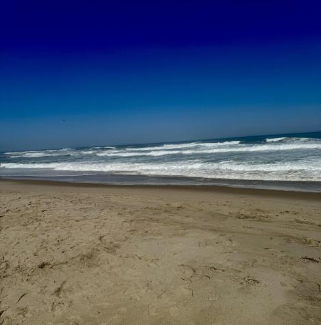 291 Ridgevale Road Chatham MA 02633