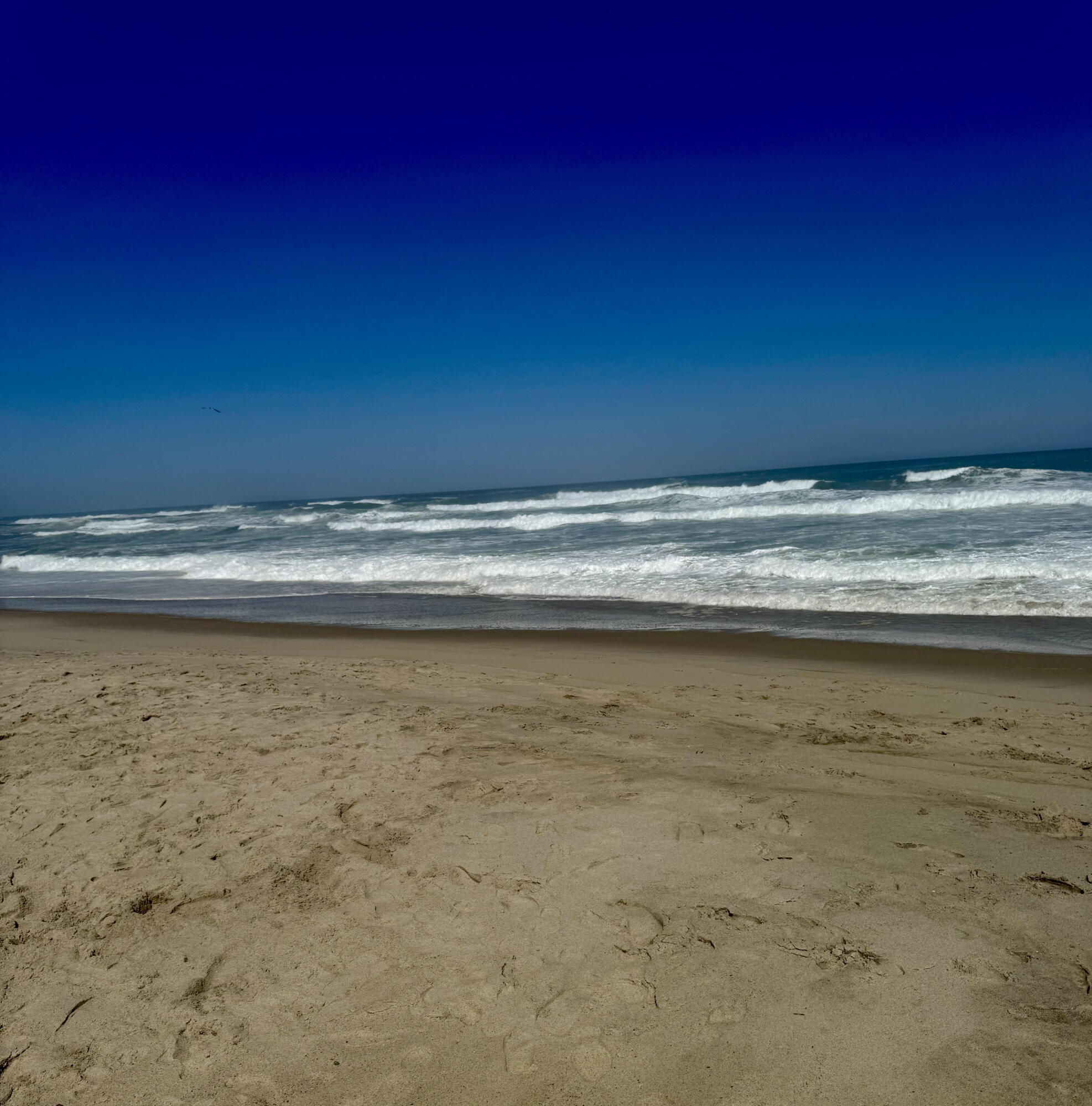 291 Ridgevale Road Chatham MA 02633