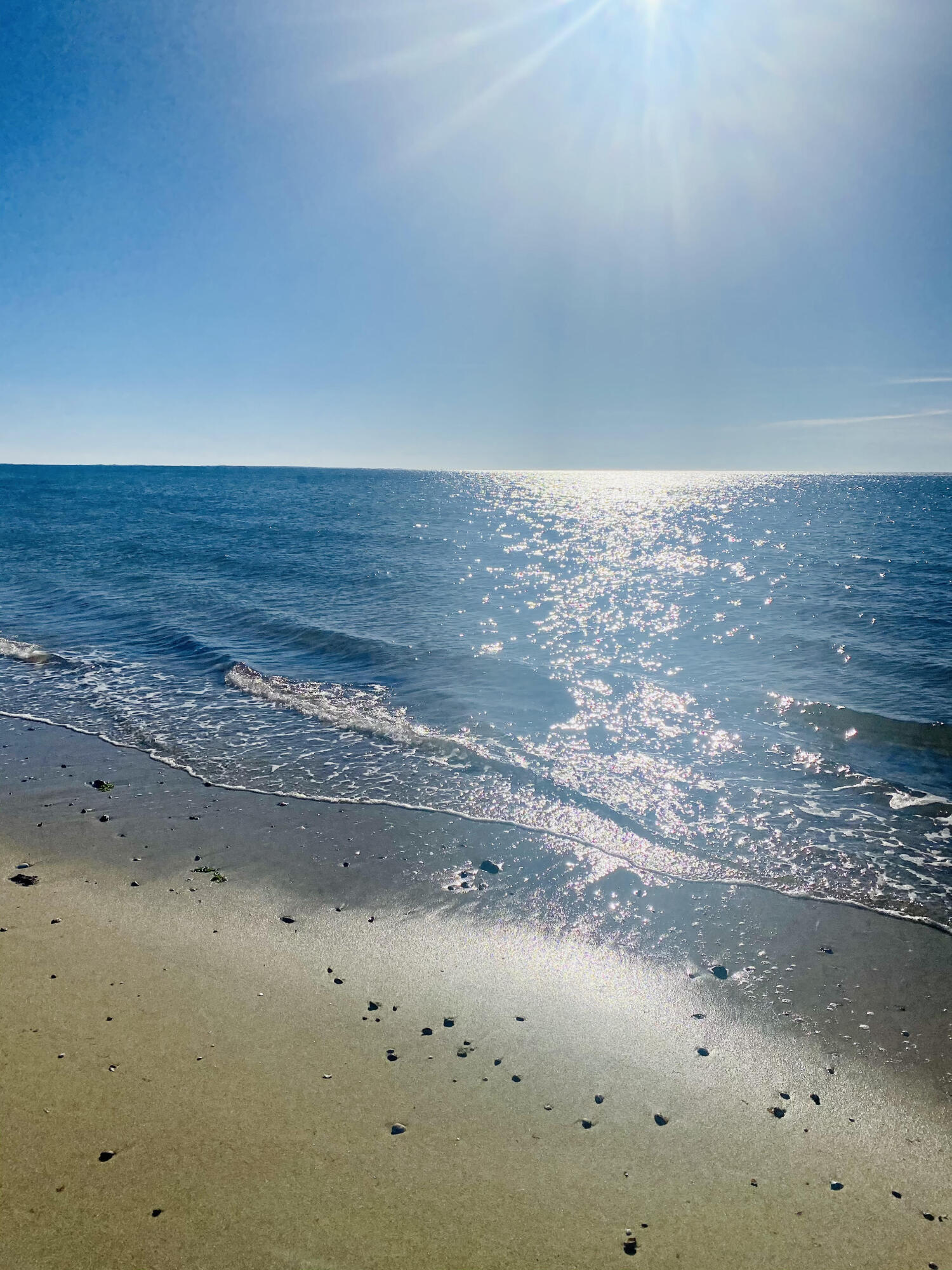 291 Ridgevale Road Chatham MA 02633