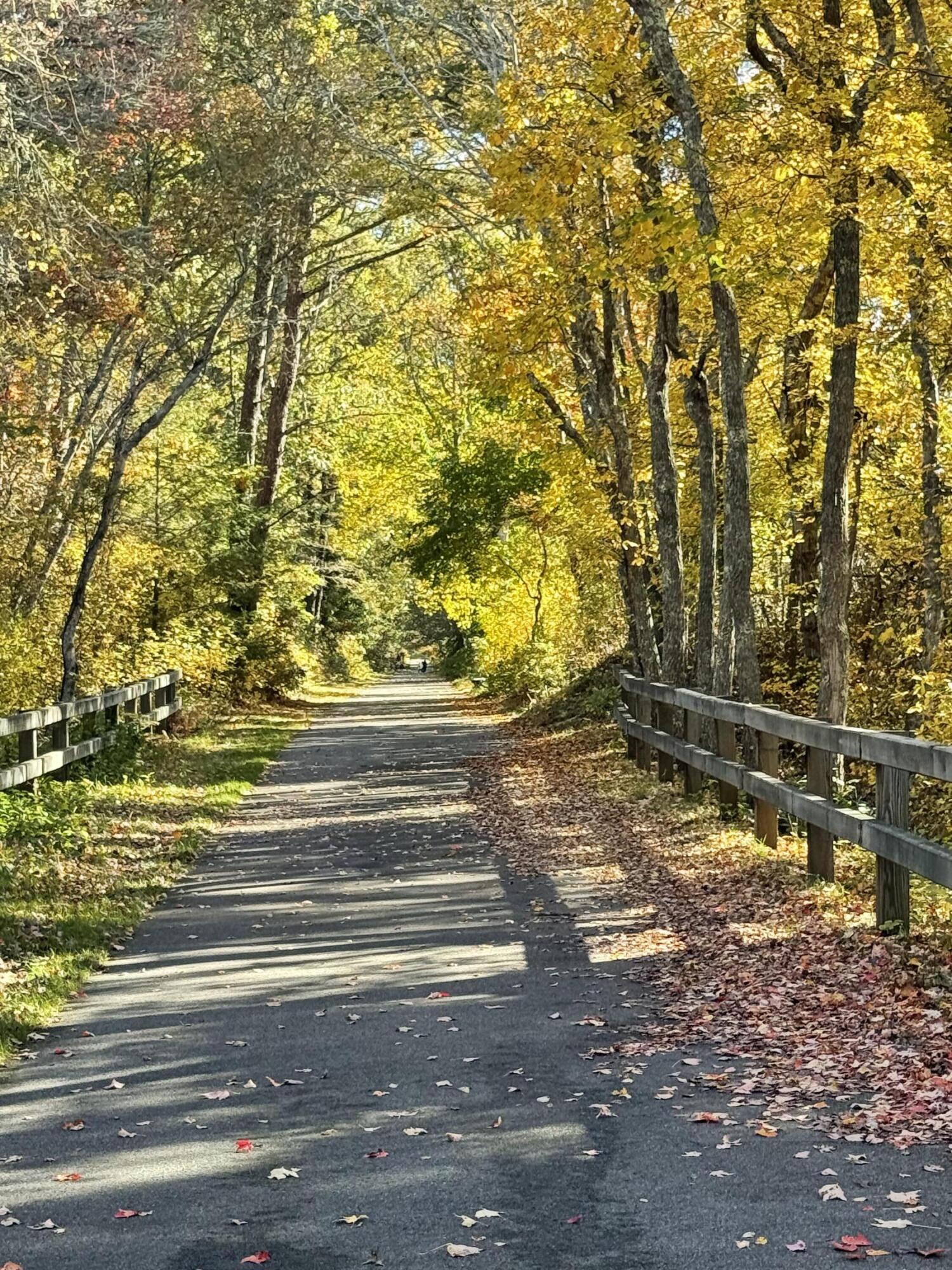 3 Bentley Road Harwich MA 02645