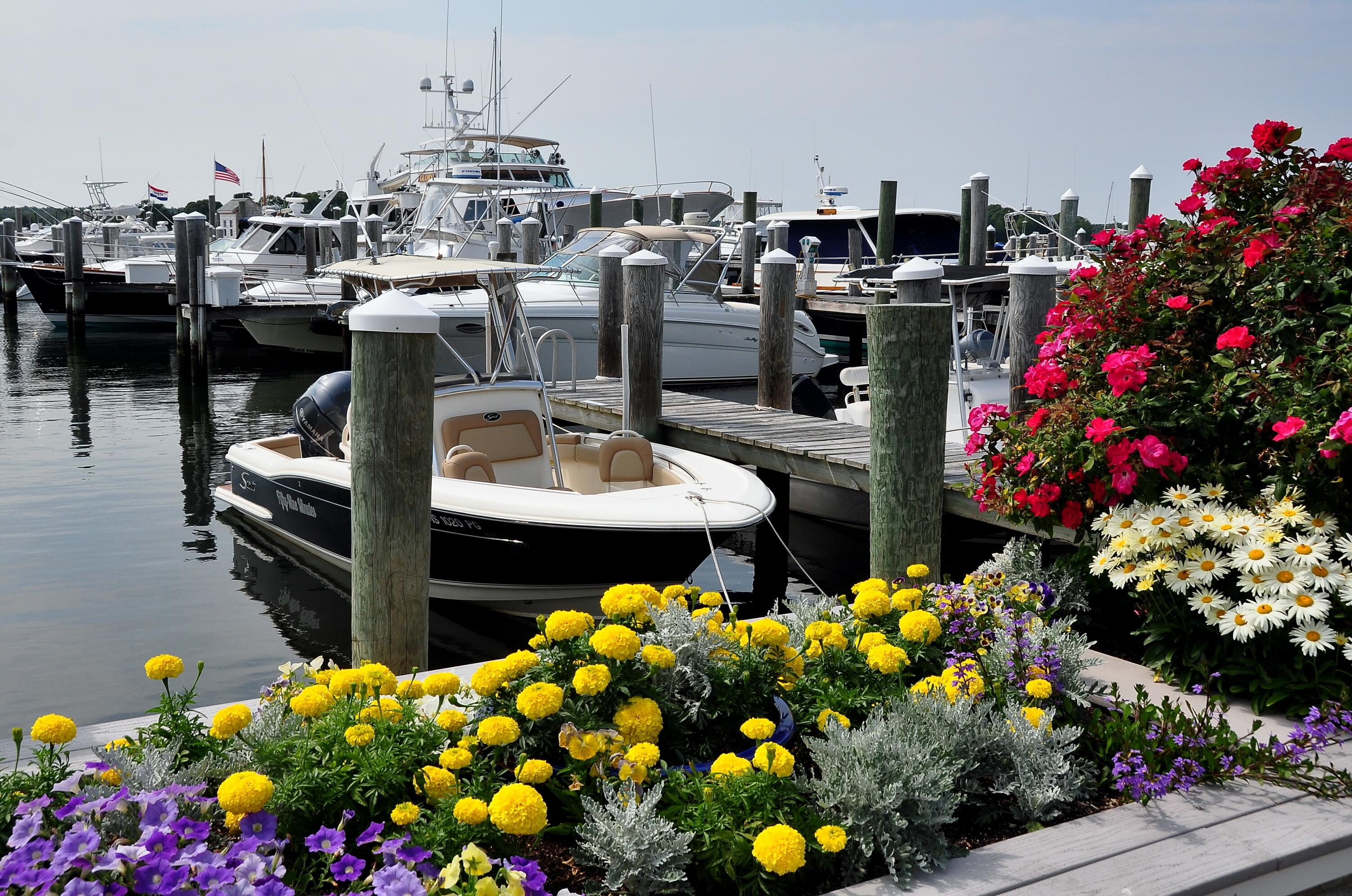 55 Seth Goodspeed Way Osterville MA 02655