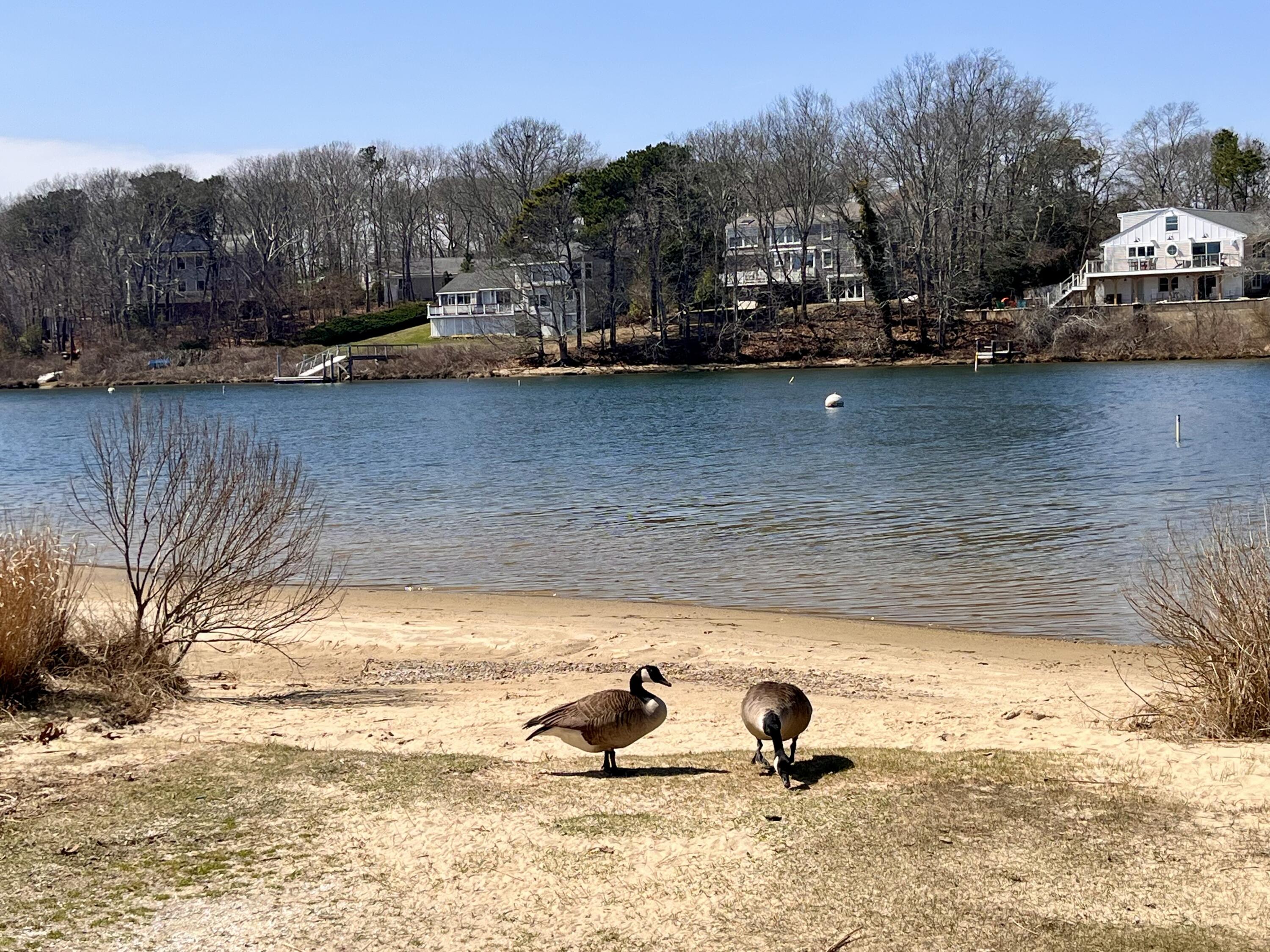 16 Edgewood Drive Falmouth MA 02536