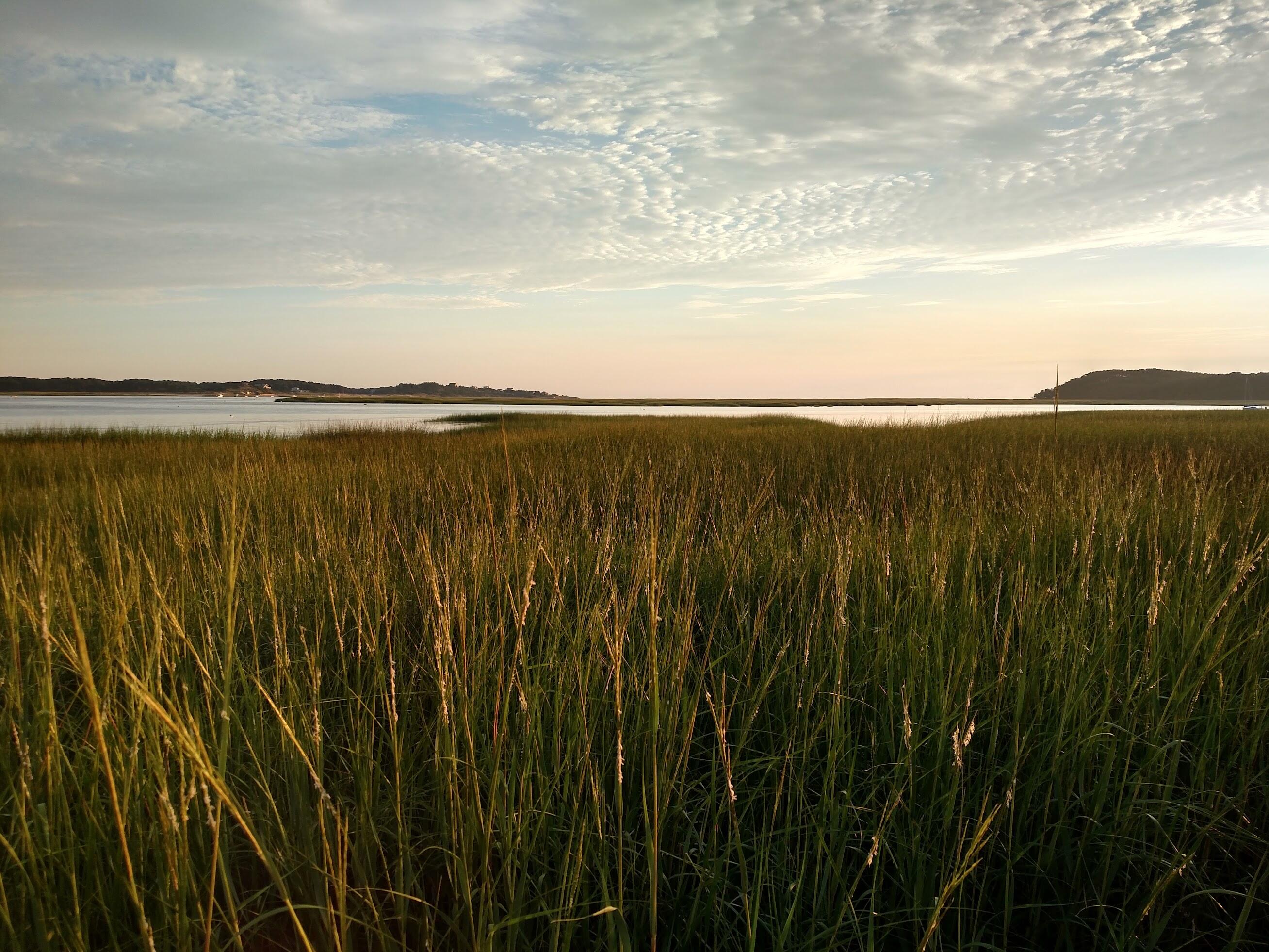 300 Paine Hollow Road Wellfleet MA 02667