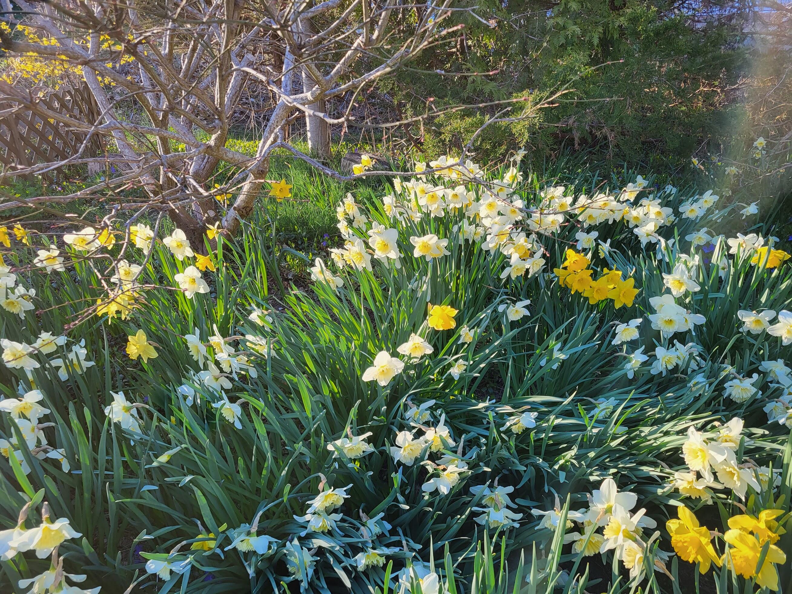300 Paine Hollow Road Wellfleet MA 02667