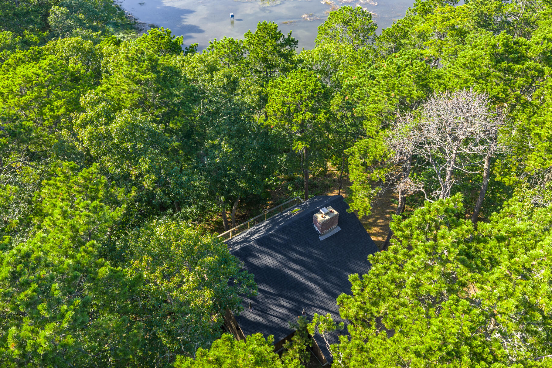 90 Blue Heron Road Wellfleet MA 02667