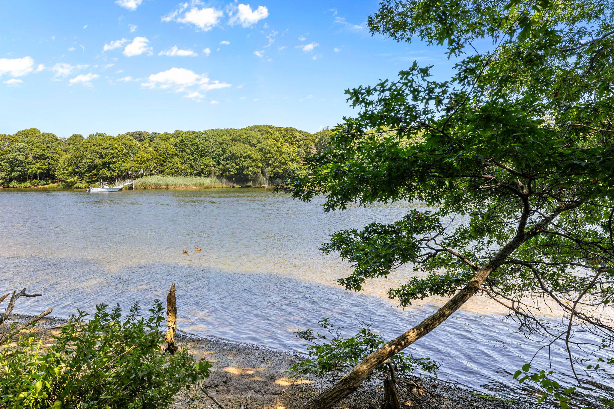 42 Mattapan Street Falmouth MA 02540