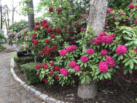 123 Green Pond Road Falmouth MA 02536