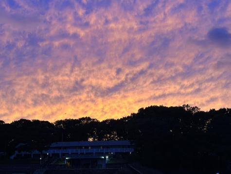 123 Green Pond Road Falmouth MA 02536