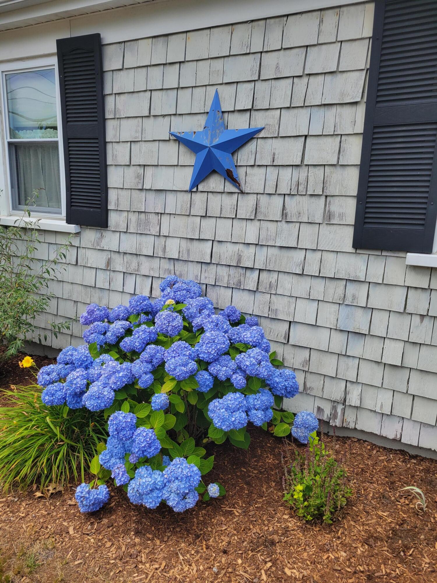 239 Swan River Road West Dennis MA 02670