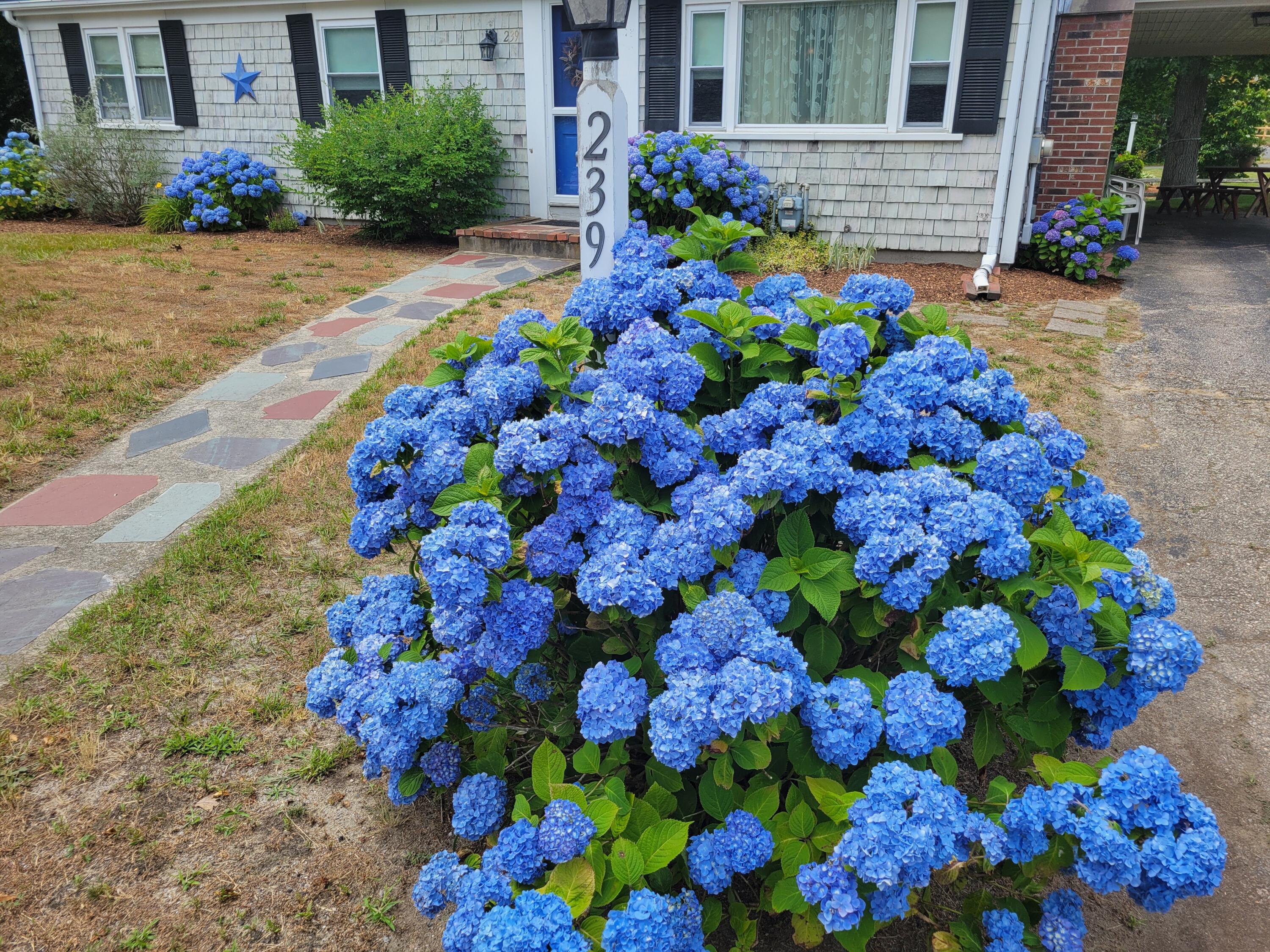 239 Swan River Road West Dennis MA 02670