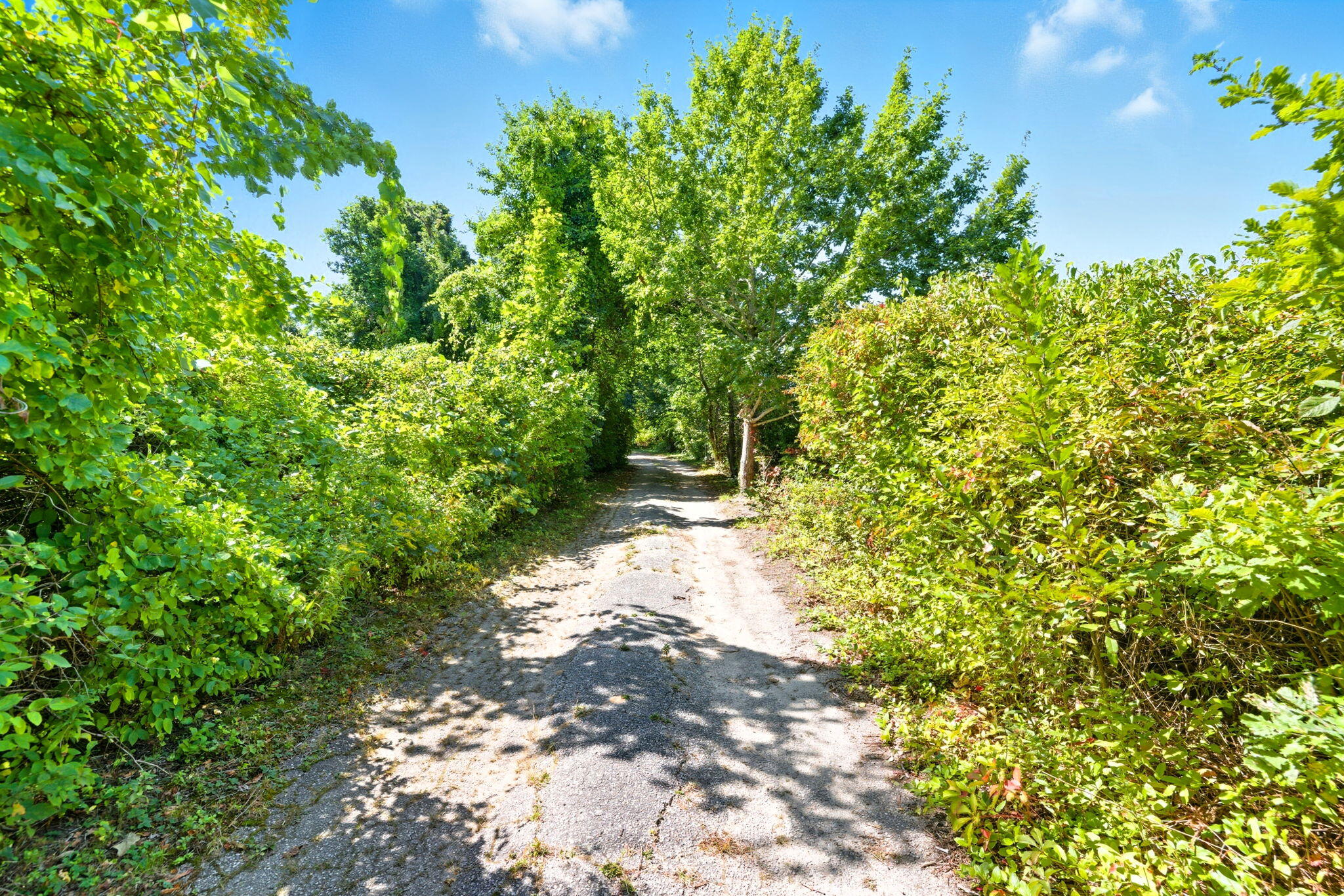 59 Hope Lane MA 02638