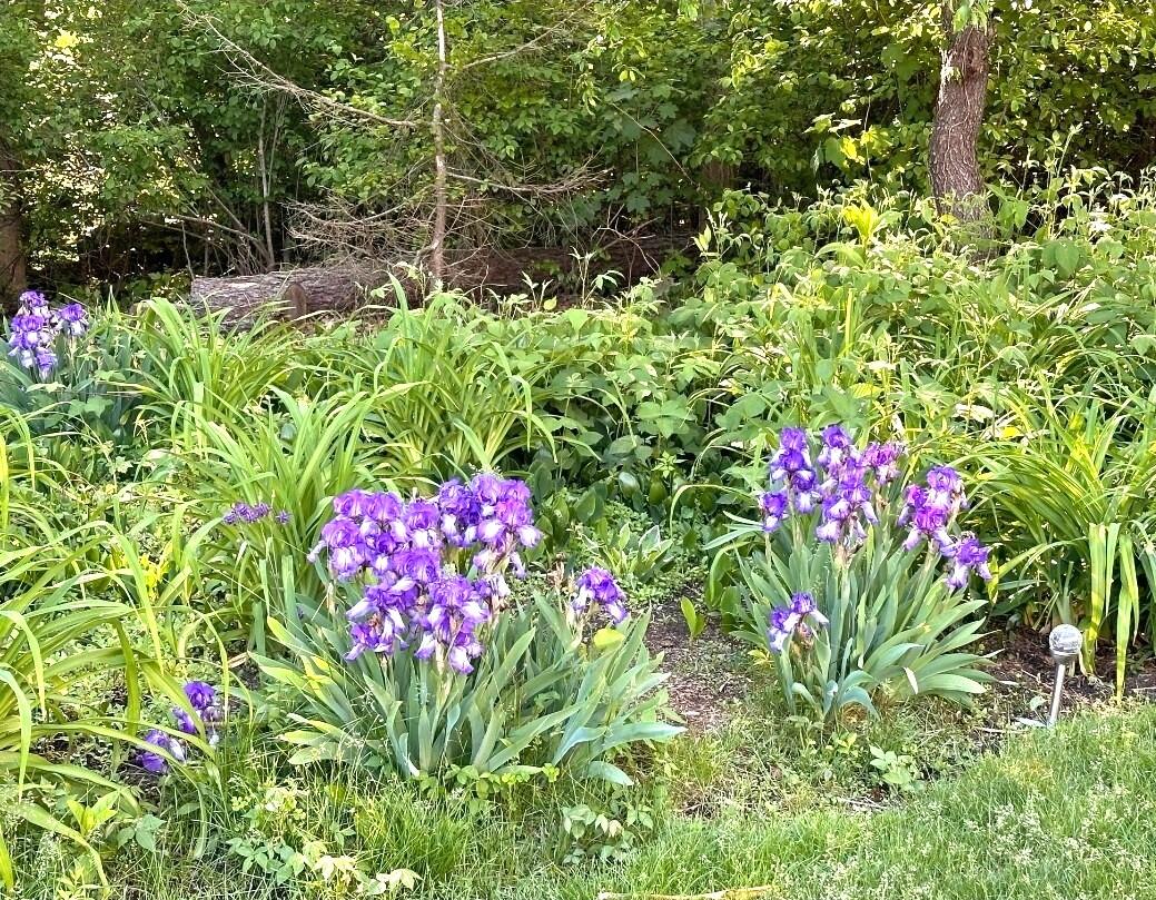 22 Briarfield Road East Dennis MA 02641