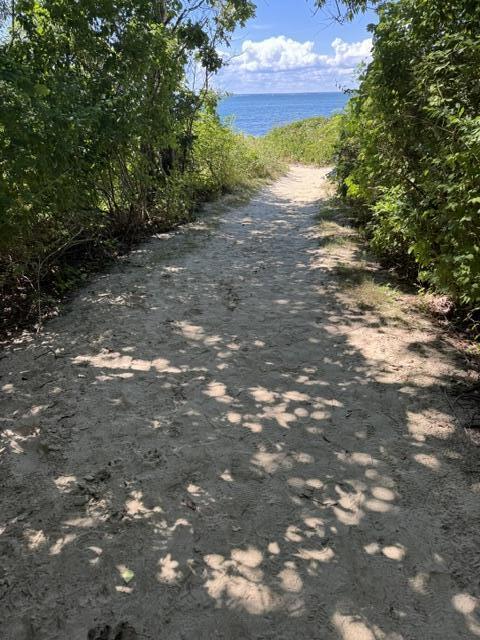 51 Cliff Road West Falmouth MA 02540