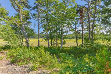 56 Warren Road Wellfleet MA 02667
