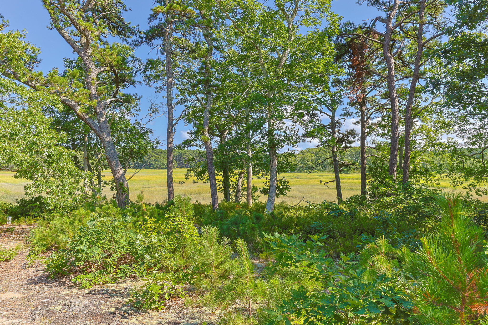 56 Warren Road Wellfleet MA 02667