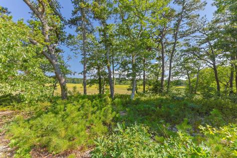 56 Warren Road Wellfleet MA 02667