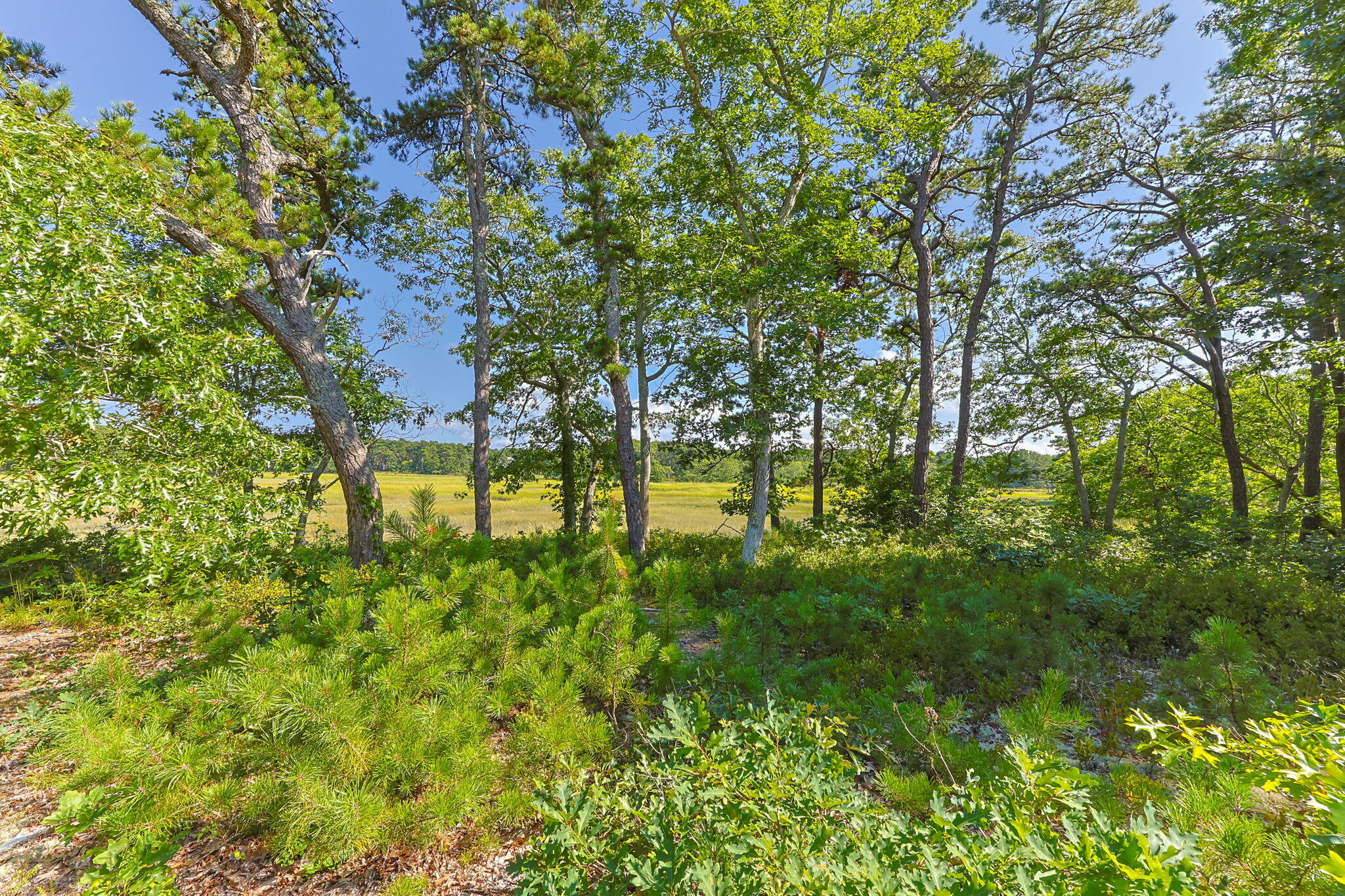 56 Warren Road Wellfleet MA 02667